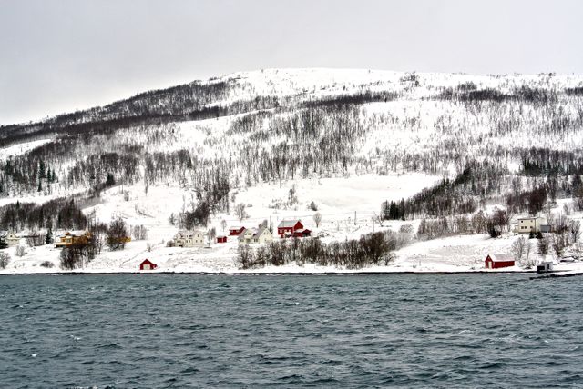 Farm houses along the fjord in northern Norway
