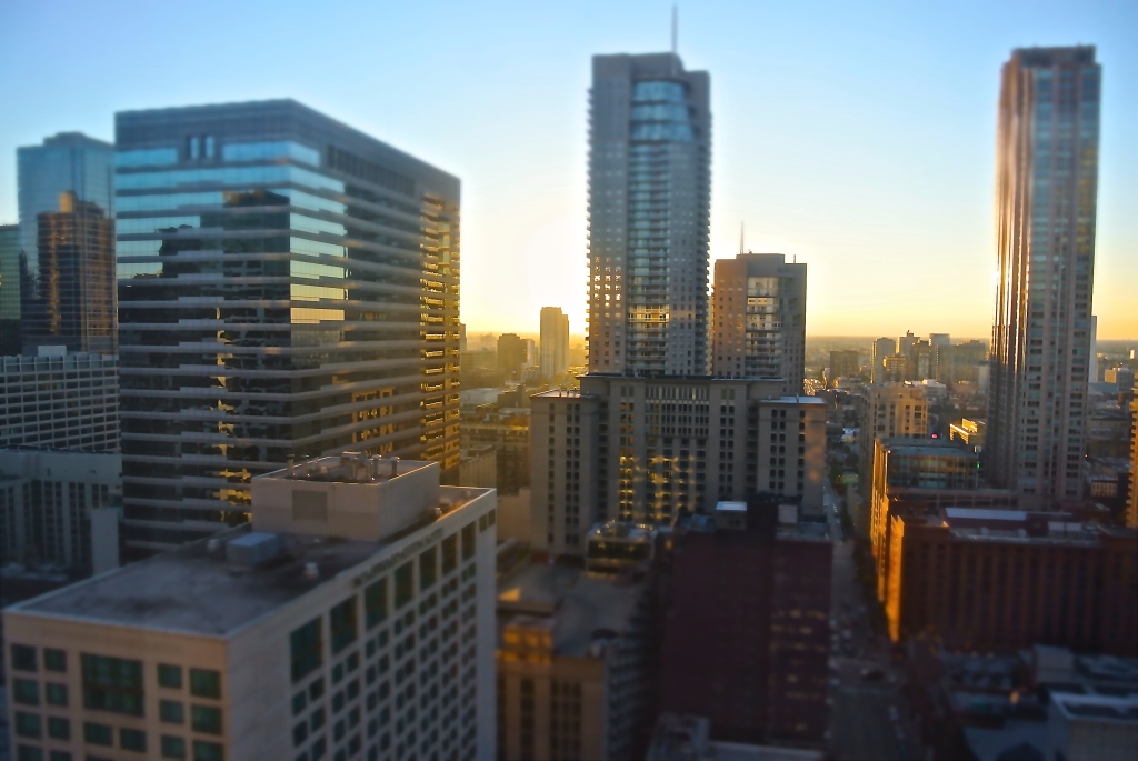 DSC_0262