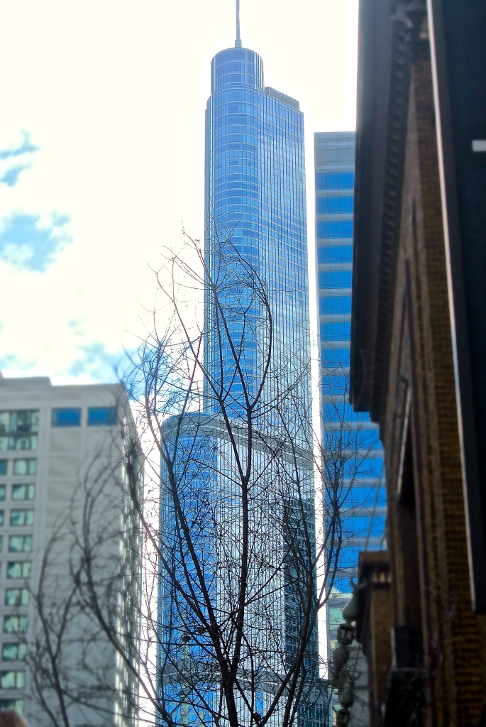 DSC_0290